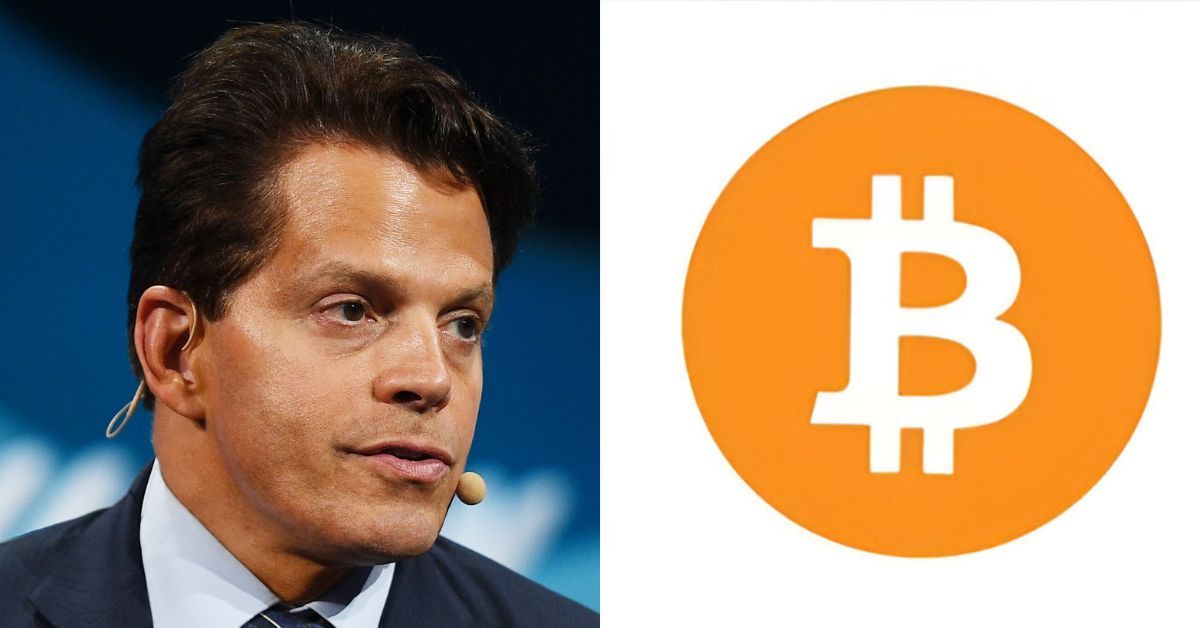 Anthony Scaramucci Bitcoin